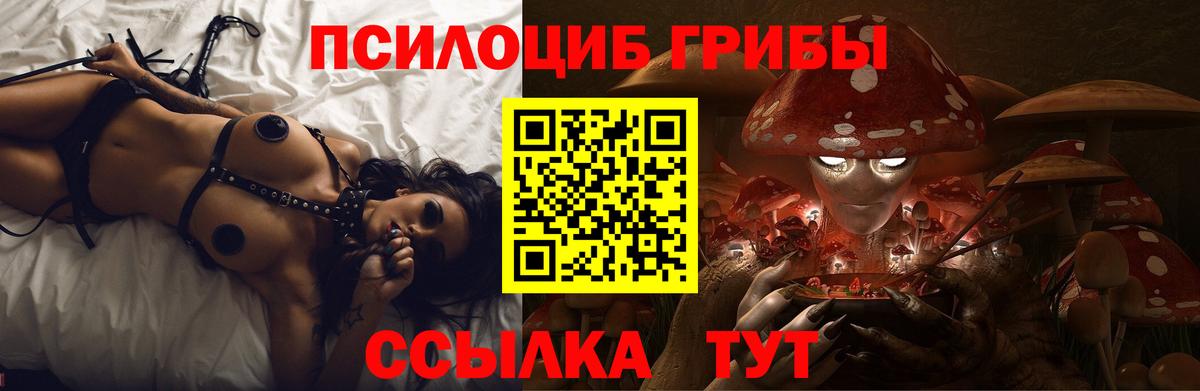 Галлюциногенные грибы MAGIC MUSHROOMS Черкесск